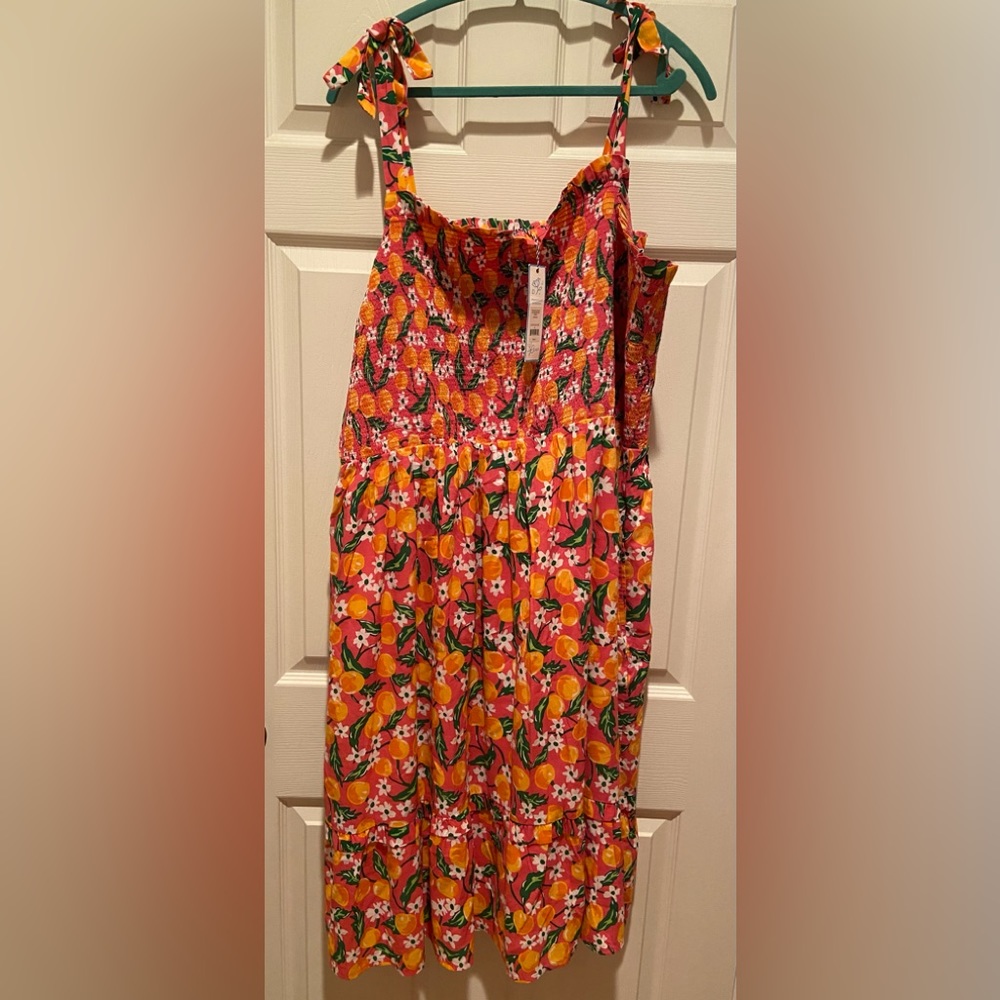NWT! Draper James dress Sz 2x!